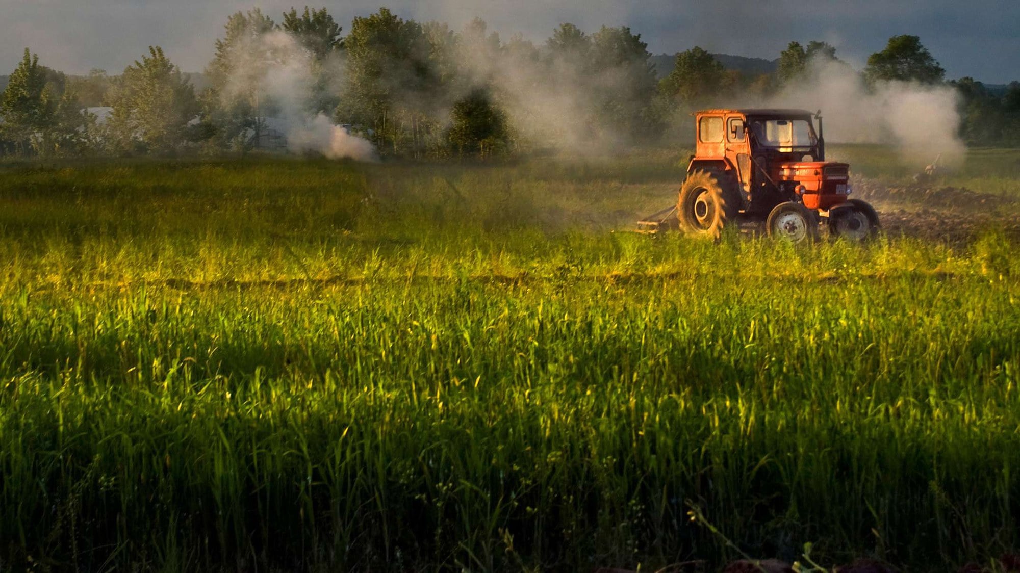 În atenția proprietarilor de teren agricol – eliberarea titlurilor de proprietate parțială