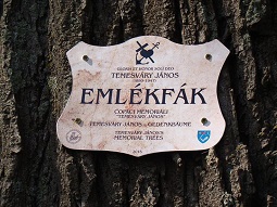 Pe urma arborilor comemorativi în Trei Scaune