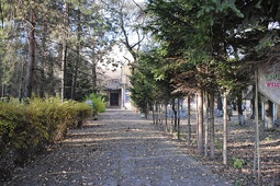 Un pas înainte legat de Băile Fortyogó