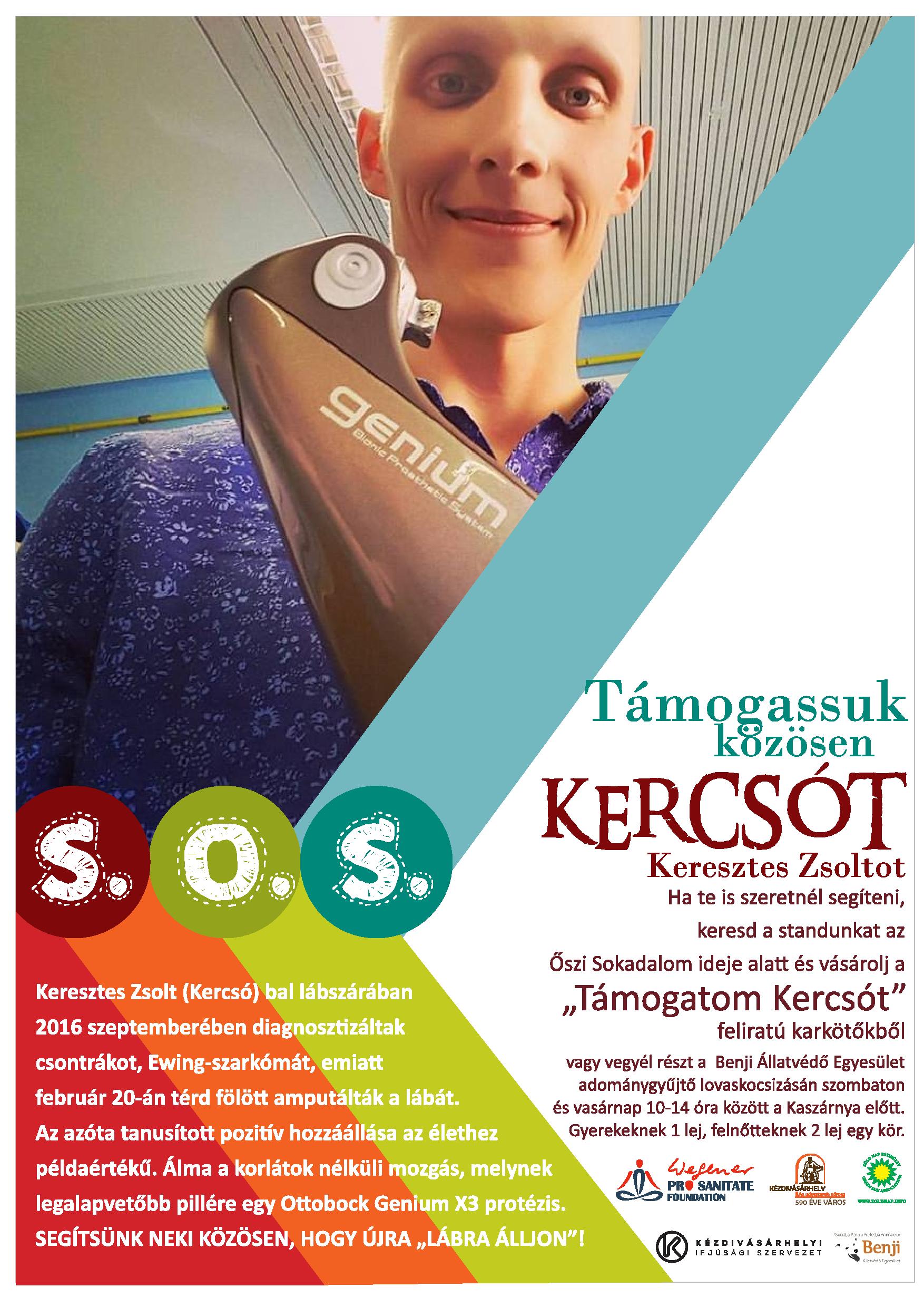 Támogassuk Kercsót!