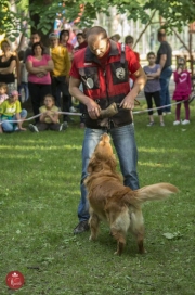 Gyerkocnapok szerda delutan20160601_tofi_037_tn