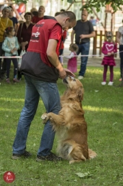 Gyerkocnapok szerda delutan20160601_tofi_039_tn