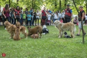 Gyerkocnapok szerda delutan20160601_tofi_044_tn