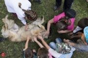 Gyerkocnapok szerda delutan20160601_tofi_046_tn