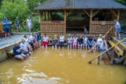 20250802-04_Kezdivasarhely-05300