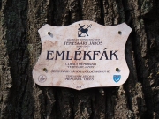 emlekfa