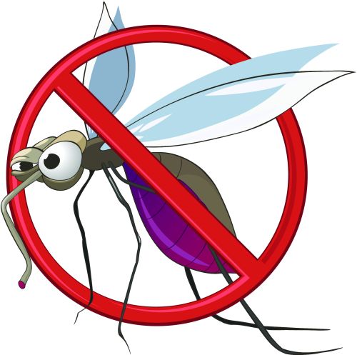Július 19-én kezdődik a szúnyogírtás